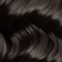 Hairlaya Color Swatch #2 Darkest Brown