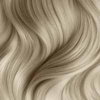 Hairlaya Color Swatch #60 Ash Blonde