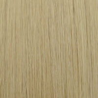 Beige Blonde (#24) Straight Tape-In Hair Extensions Double Drawn Color